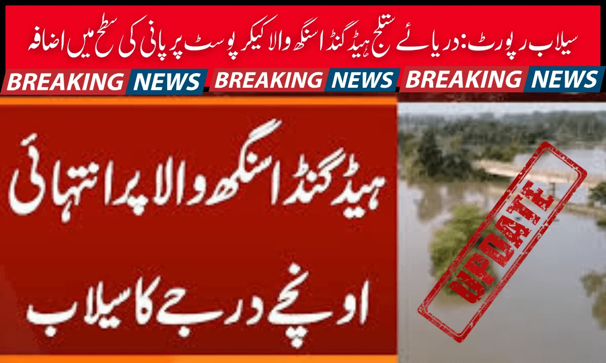 Flood Report: Rising Water Levels At Ganda Singh Wala Kikar Post, River Satluj Head