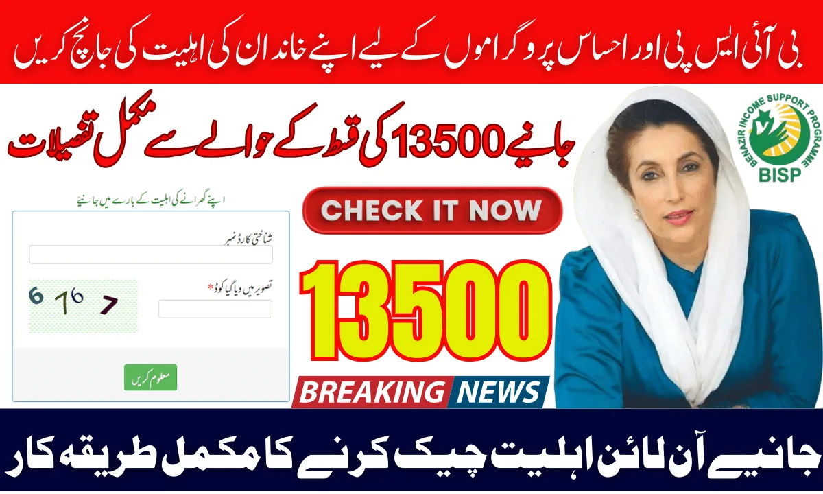 8171 Online Portal Guide: Check Your Family’s Eligibility for BISP and Ehsaas Programs